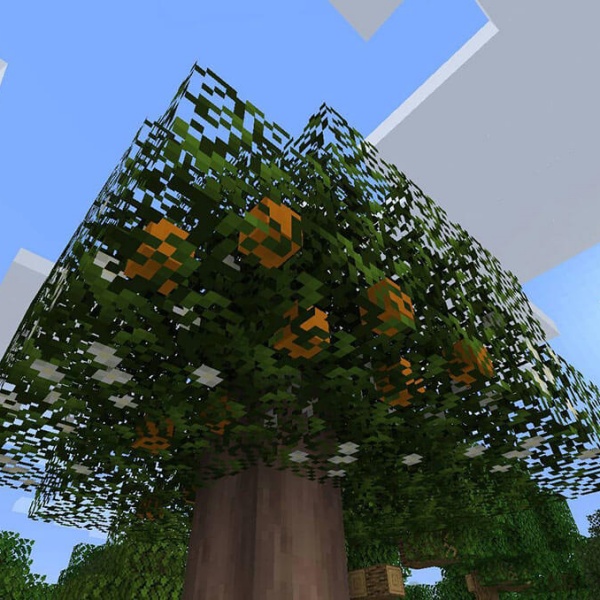 我的世界果树模组